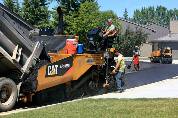 Best Driveway Paving Contractor  in Sheffield, AL